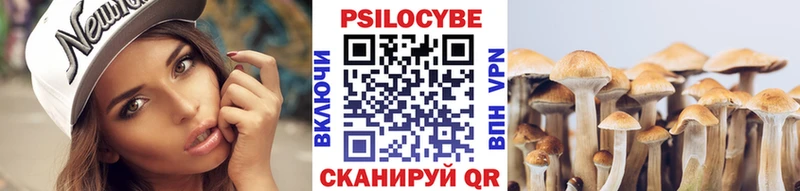 цена наркотик  Валдай  Псилоцибиновые грибы Psilocybe 